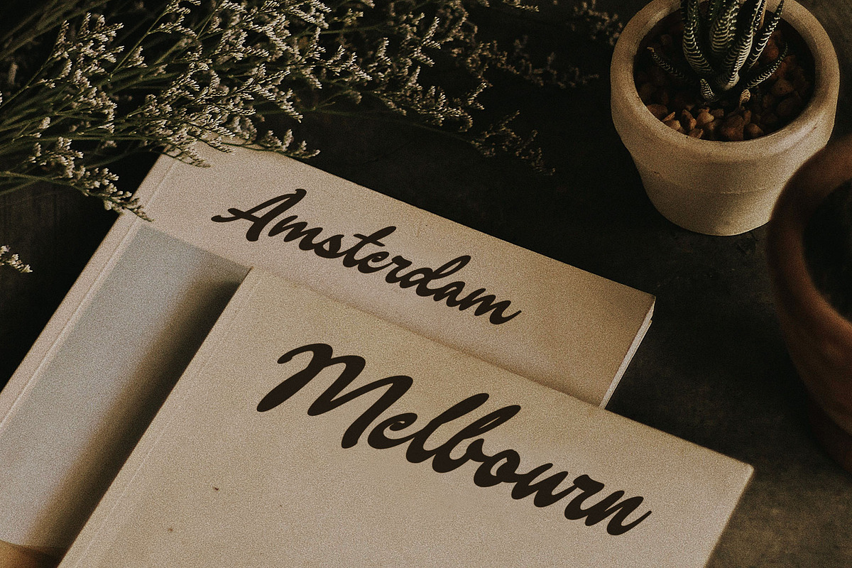 Crenalia Vintage Script Font, a Script Font by RantautypeStudio (Photo 7 of 17)