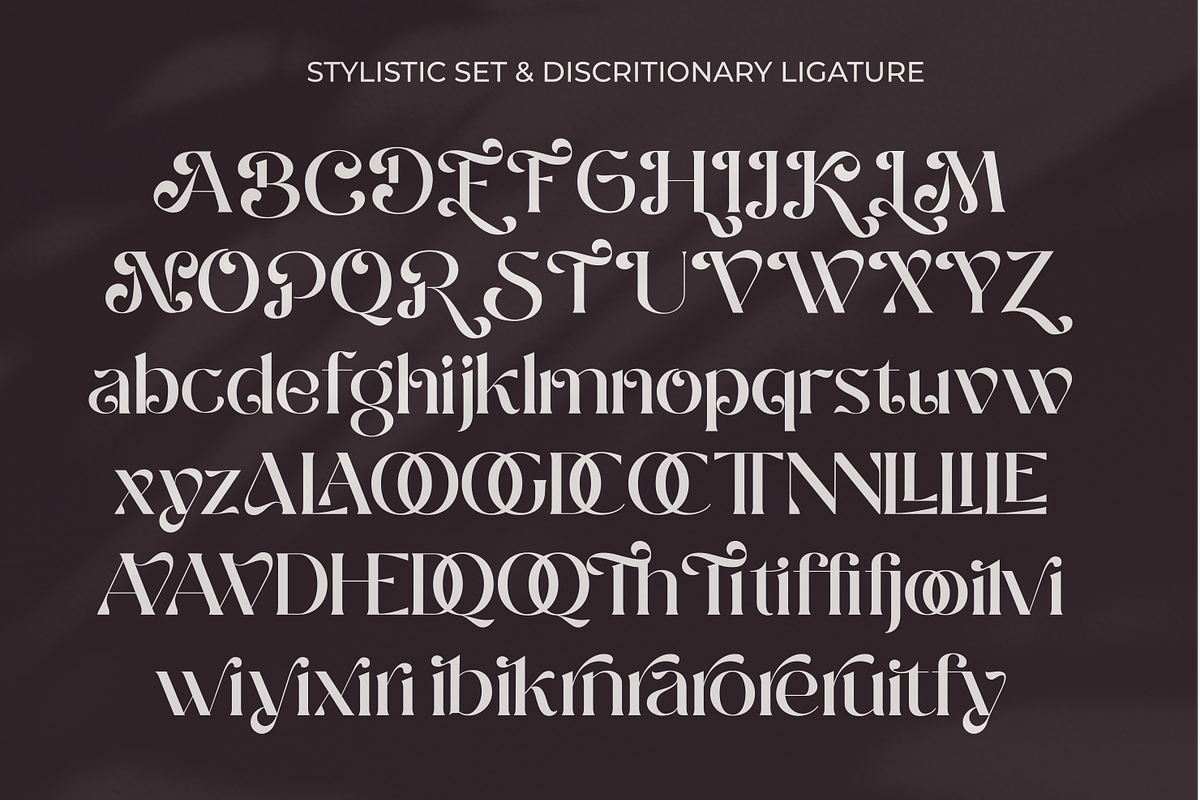 Milky Noire, a Serif Font by zeenesia (Photo 14 of 14)