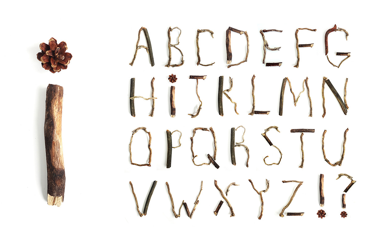 Alphabet made from branches