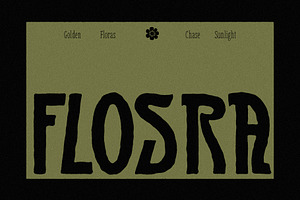 SFC Flosra - Folkcraft Display