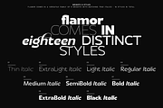 Flamor - Editorial Sans Serif Family, a Sans Serif Font by VP Fonts (Thumbnail 13 of 23)