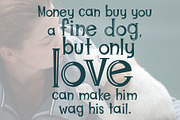 Christmas Puppies Font Pair, a Serif Font by Tu Neuwin (Thumbnail 6 of 9)