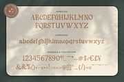 Cherly Blossom Modern Chic Serif, a Serif Font by Creatype Studio (Thumbnail 8 of 9)