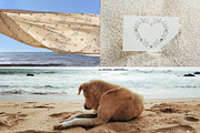 Oceanic Dreams Watercolor Clipart, a Pattern Graphic by Nadia Semyroz (Thumbnail 7 of 10)