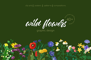 Wild meadow flowers $ herbs