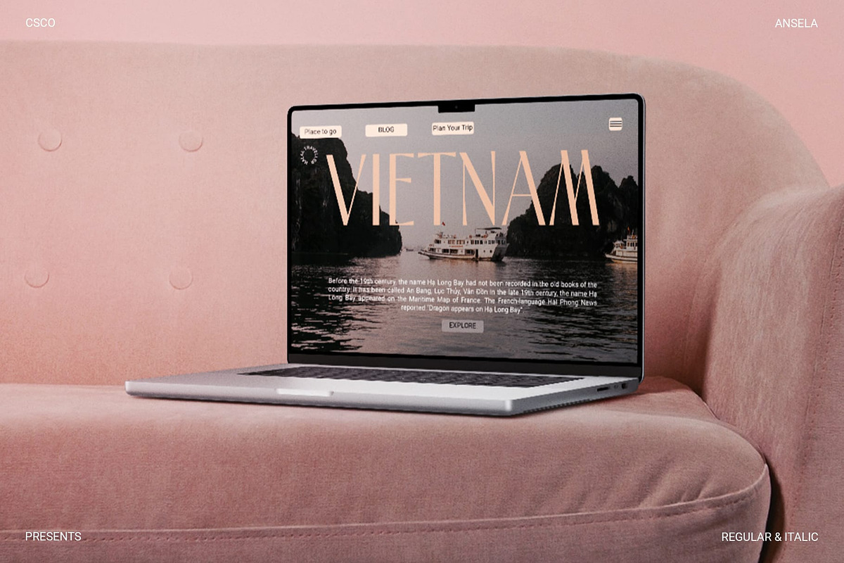 Ansela – Elegant Sans, a Sans Serif Font by Craft Supply Co. (Photo 7 of 8)