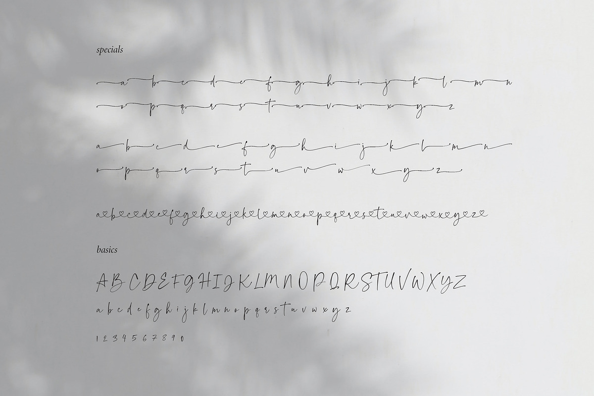 Palm Honey // Modern Lovely Script, a Handwritten Font by PeachCreme (Photo 11 of 11)