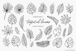 Hand Drawn Tropical & Exotic Leaves