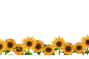 Sunflower border,sun flower, an Object Illustration by Elegant Solution