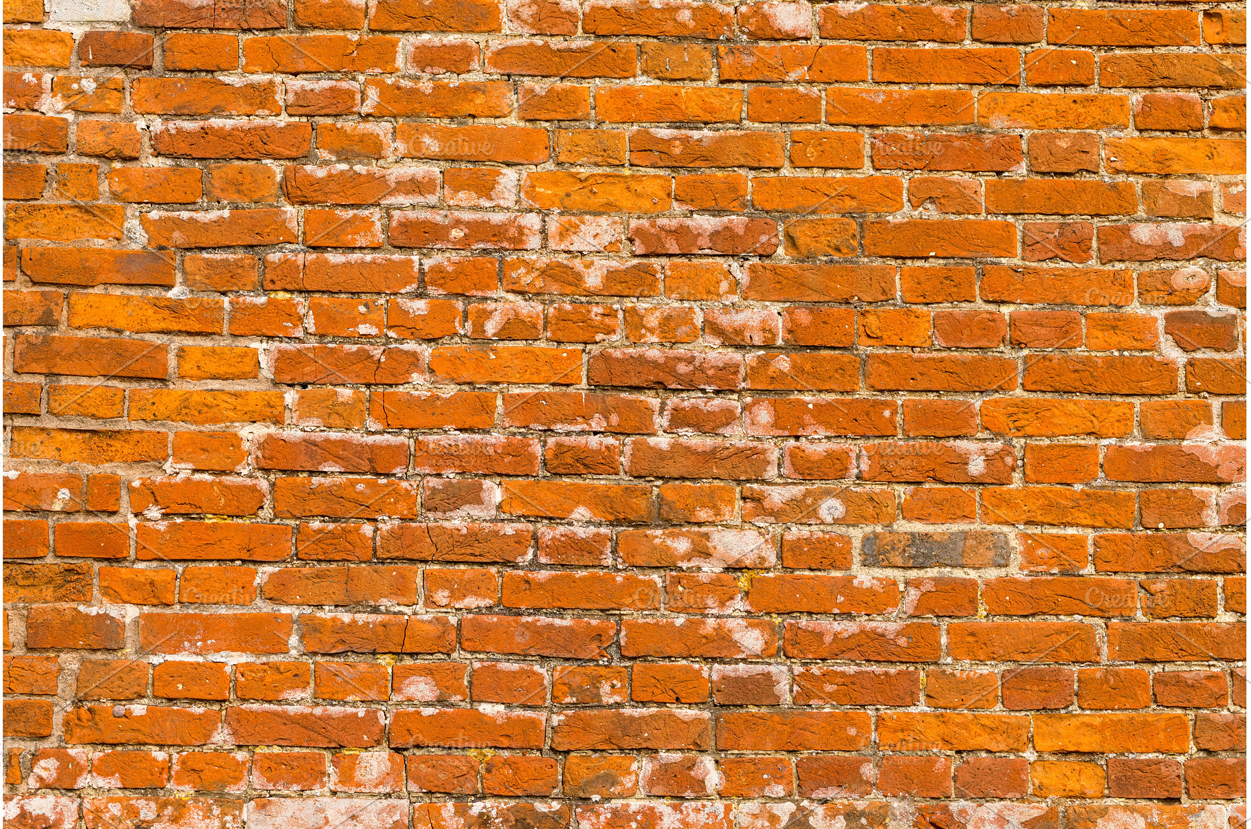 Close up of an ancient brick wall, a Background Photo by Backyard Stock
