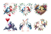 Watercolor Couple Bird Clipart Bundl, an Illustration by Daily.Designs (Thumbnail 4 of 5)