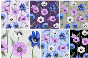 Audacious Arabella, a Decorative Illustration by Dana Designs (Thumbnail 12 of 15)