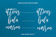 Adasmine Clean & Textured Script, a Script Font by Studio design (Thumbnail 22 of 22)
