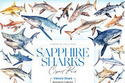 Watercolor Shark Clipart, Shark PNG, an Animal Illustration by BrushstrokeArtGB (Thumbnail 1 of 9)