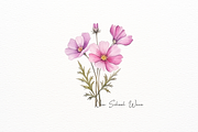 Watercolor Medicinal Flowers Clipart, a Decorative Illustration by New-School-Wave (Thumbnail 3 of 5)