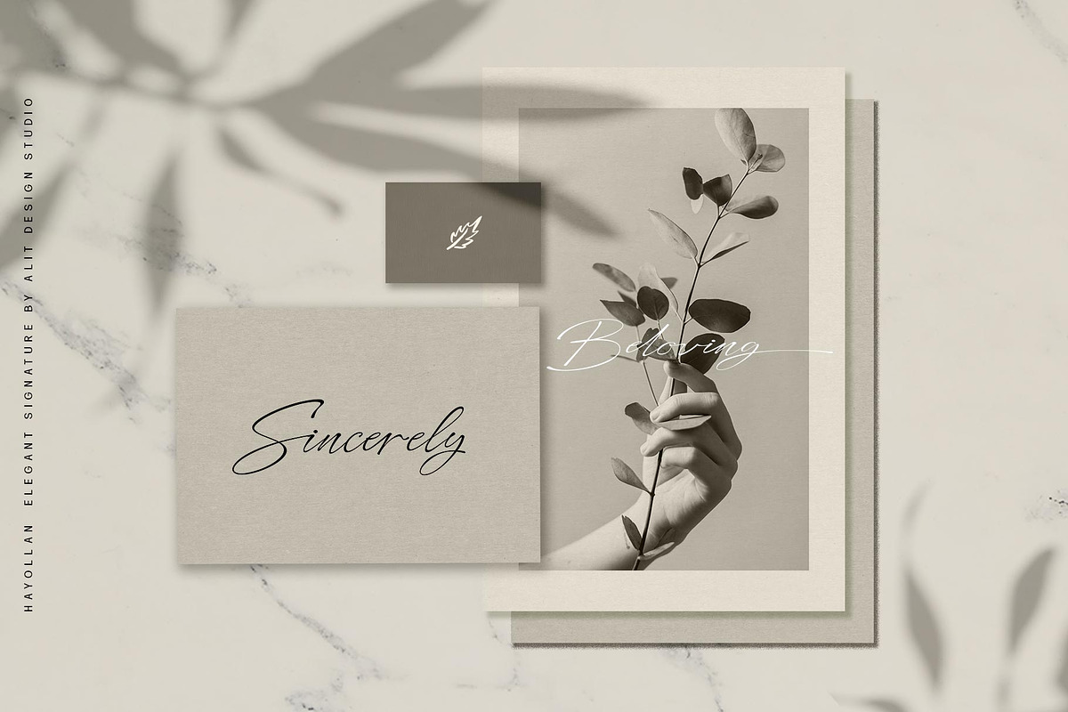 Hayollan Signature Script, a Script Font by alit design (Photo 6 of 15)