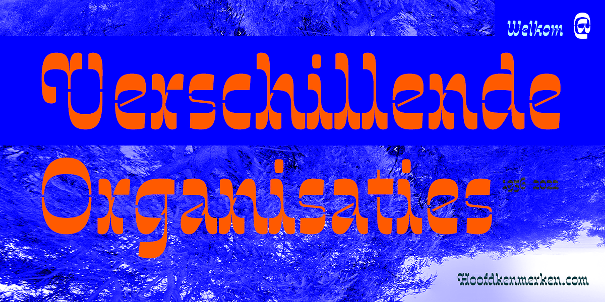 Invertida St, a Slab Serif Font by Vanarchiv (Photo 4 of 8)
