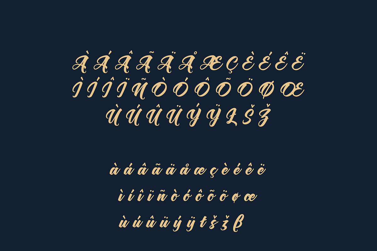 Nigolo Script Font, a Script Font by Creative Foundry (Photo 8 of 8)