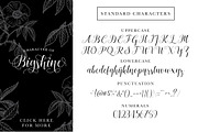 Bigshine Script, a Script Font by ianmikraz (Thumbnail 6 of 6)