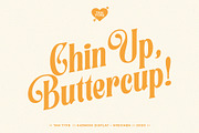 TAN - Harmoni, a Serif Font by TanType (Thumbnail 8 of 19)