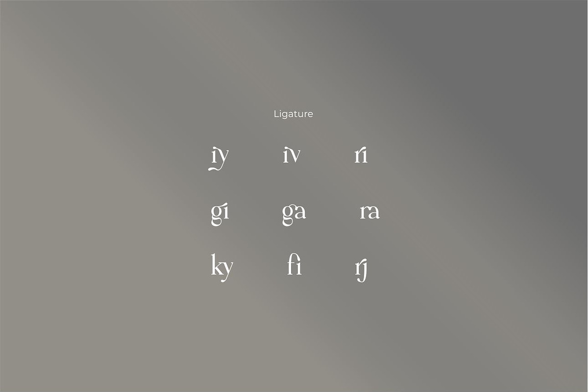 Carina classy elegant font, a Serif Font by suhadidesign (Photo 13 of 14)