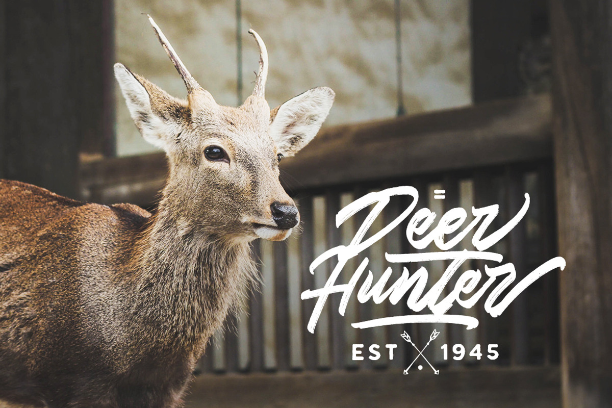 Skywalker Logotype 25% OFF (UPDATE), a Script Font by Dirtyline Studio (Photo 12 of 16)