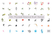 100+ Botanical Procreate Brush Stamp, a Brush Add-On by CC CREATIVE CO (Thumbnail 2 of 16)