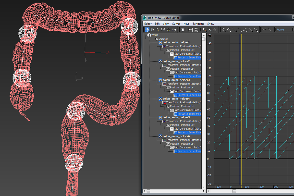 Human colon. Animated, a Characters & Person 3D Model by konstantin.ermolaev (Photo 6 of 6)
