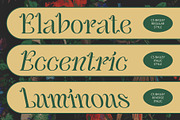 CS Bailey – Art Nouveau Font, a Serif Font by Craft Supply Co. (Thumbnail 4 of 8)