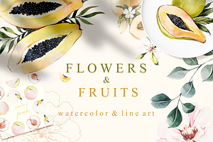 FLOWERS & FRUITS