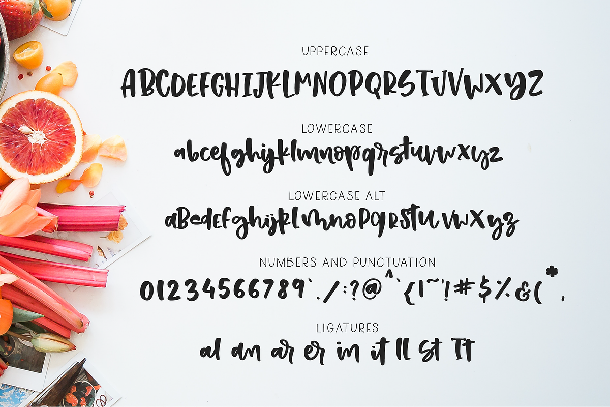 Strawberry Shortcake Font & Extras, a Script Font by theinkaffair (Photo 12 of 13)