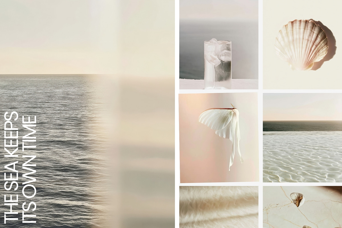 Sol Vibes | Coastal Stock Photos, a Nature Photo by Tale.Haus (Photo 10 of 18)