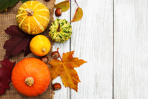 Pumpkins containing pumpkin, fall, and leaves, a Food & Drink Photo by Olena Rudo