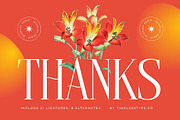 Belhinco Luxury Display Serif Font, a Serif Font by timelesstype.co (Thumbnail 20 of 20)