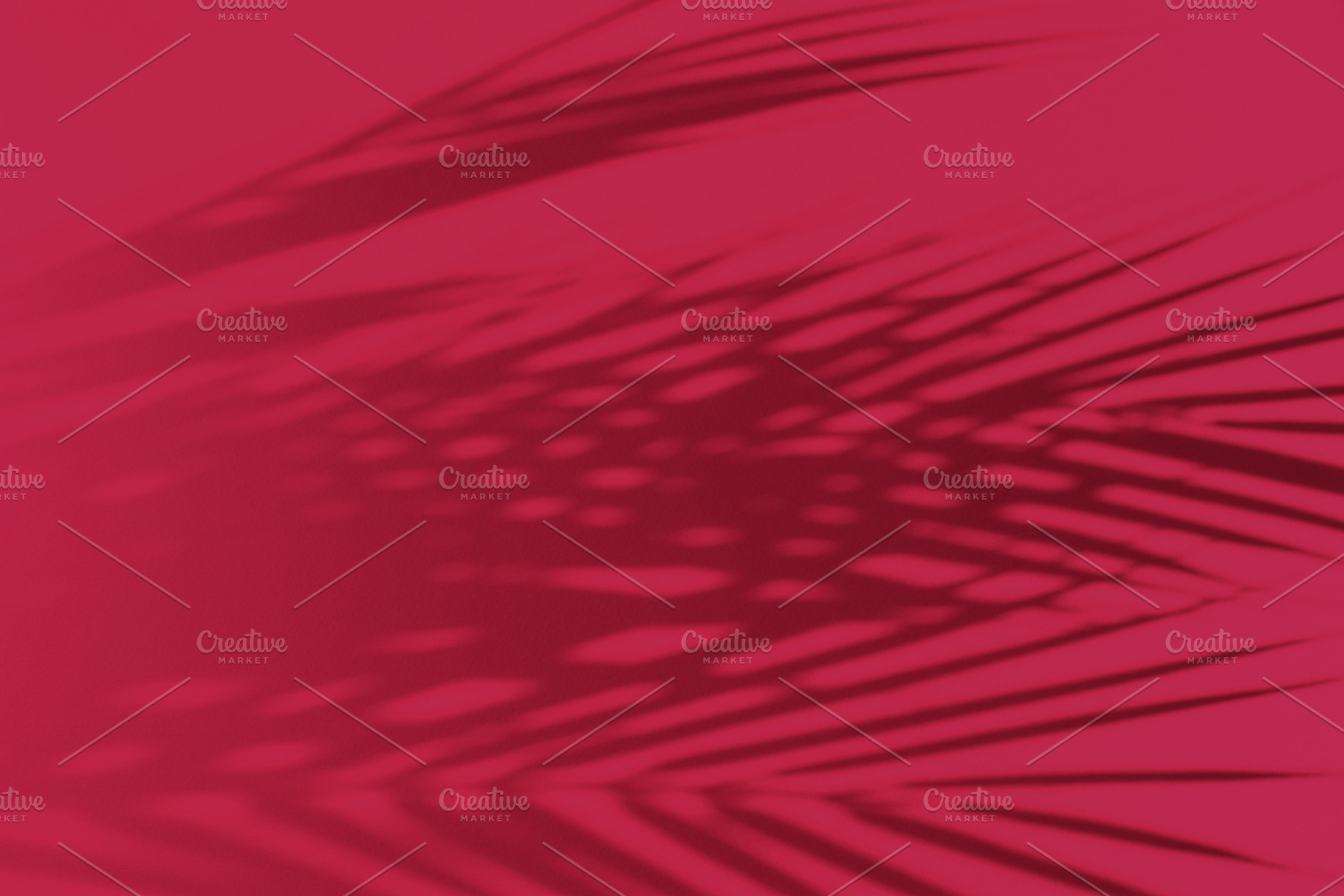 Viva magenta color of the year 2023. Palm leaves and their shadow on an backgro, an Arts & Entertainment Photo by Detriana