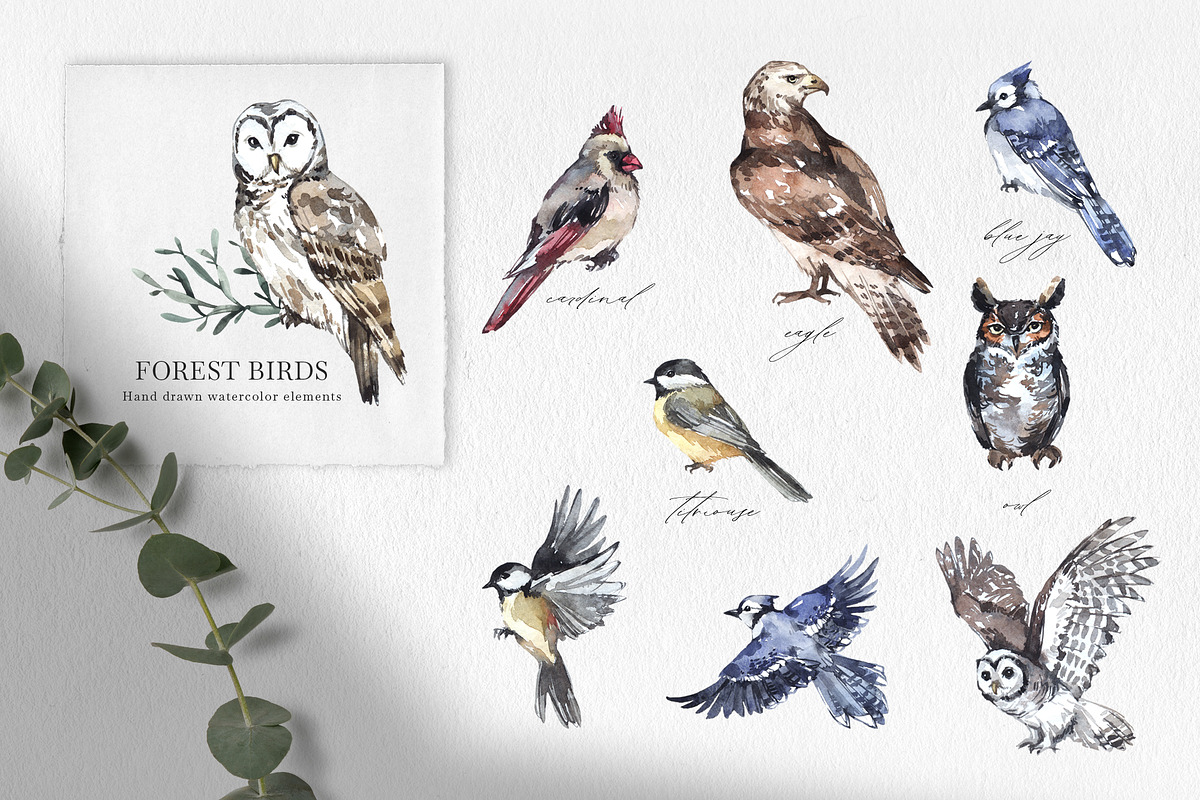 Forest Legends Winter animal set, a Seasonal Illustration by Anastezia Luneva (Photo 5 of 17)