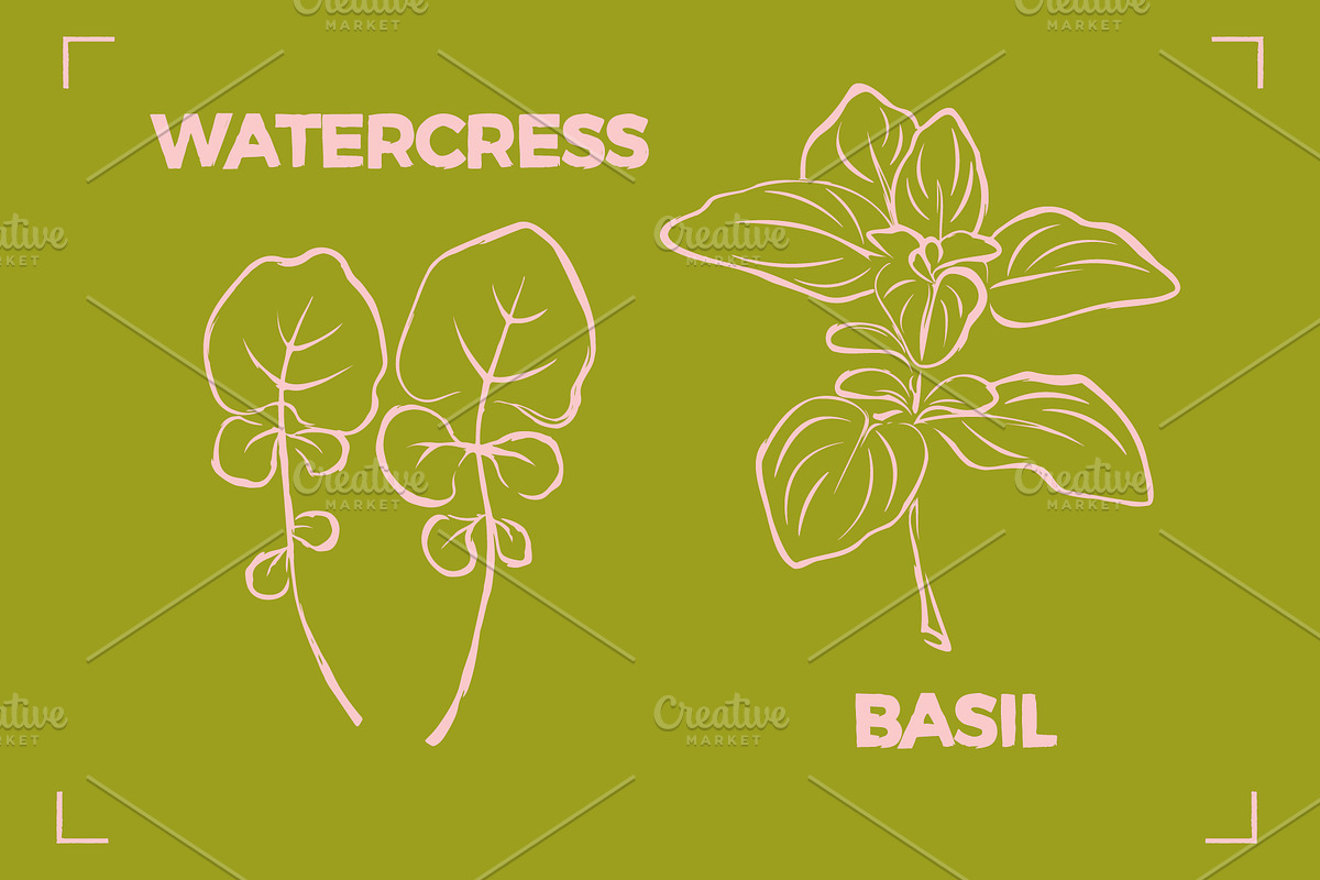 GREENS LINE ART SET (14 elements), a Food Illustration by Bonfloret Studio (Photo 6 of 8)