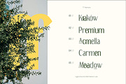 TT Remora – Modern Sans Display, a Sans Serif Font by truetype (Thumbnail 2 of 15)