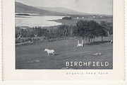 Quilt & Barley, a Sans Serif Font by Bruised Goods (Thumbnail 7 of 13)