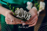 Lily Script, a Script Font by Carola-Corujan (Thumbnail 1 of 6)