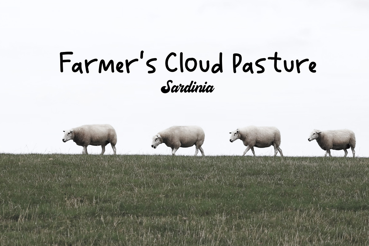 Farmer Marketica | Natural Hand Draw, a Script Font by Yuby Creative (Photo 4 of 9)