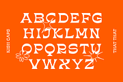 KISH - Quirky Display Type, a Font by That That Creative (Thumbnail 5 of 19)