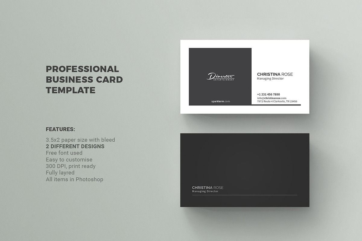 Business Card, a Business Card Template by Diverter (Photo 2 of 3)