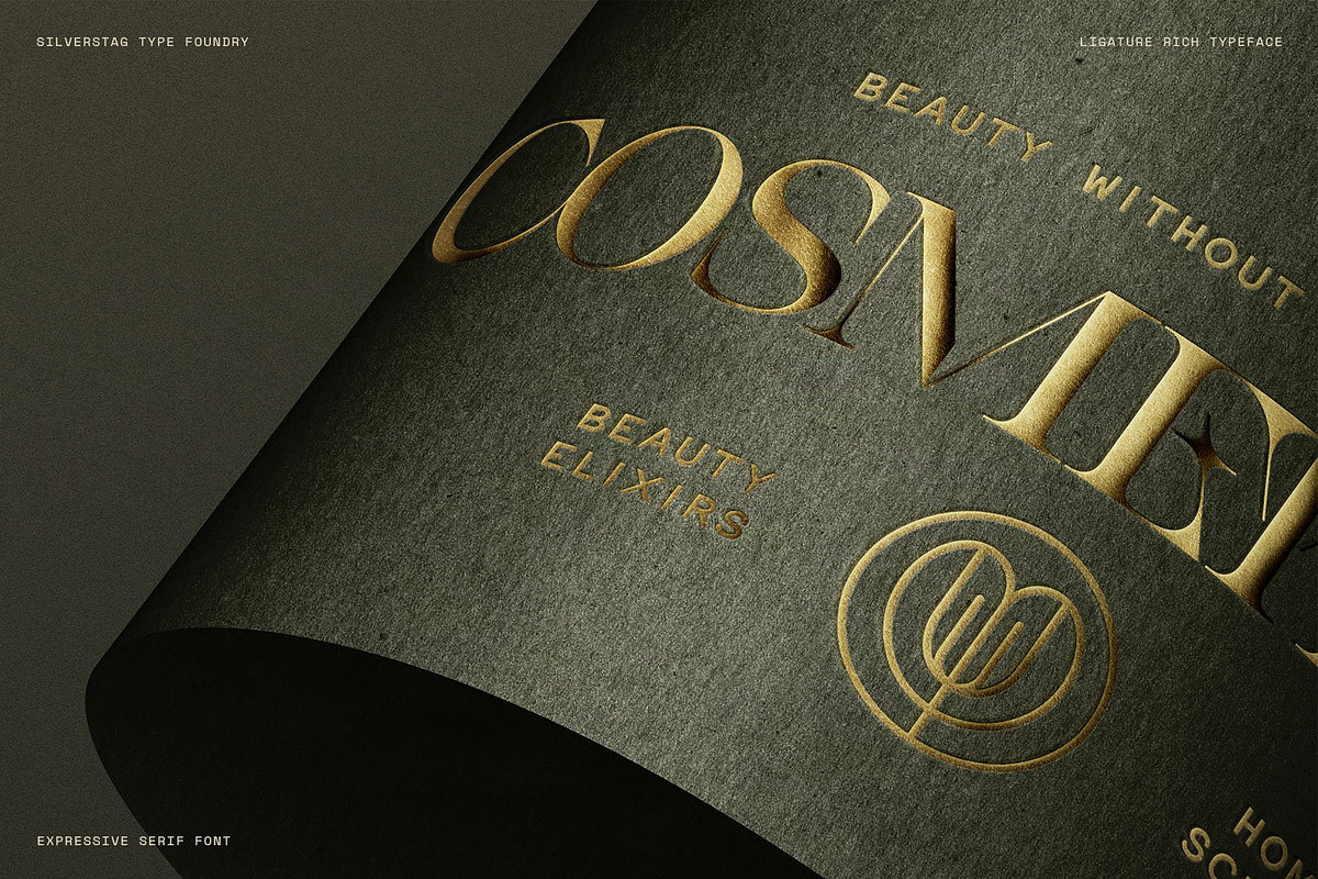 Spanish Archer - Ligature-Rich Font, a Serif Font by SilverStag Type Foundry (Photo 7 of 19)