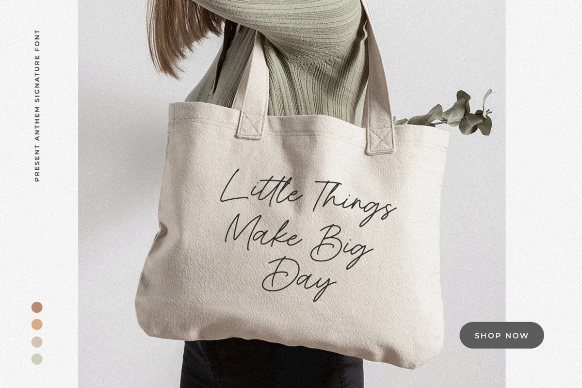 Present Anthem Modern Signature Font, a Script Font by Heinzel Std (Photo 12 of 19)