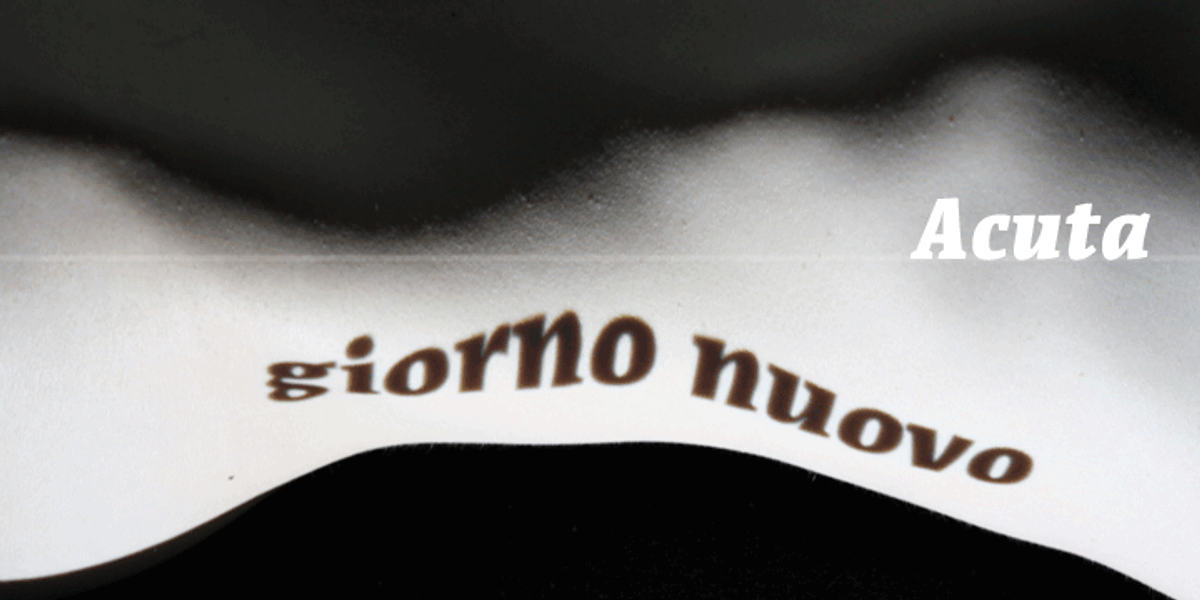 Acuta, a Serif Font by Anatoletype (Photo 1 of 5)