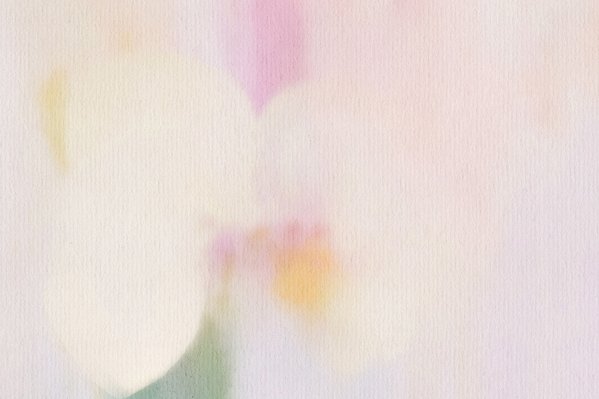 Giverny Watercolor Backgrounds, a Background Graphic by alonahaidash (Photo 11 of 14)