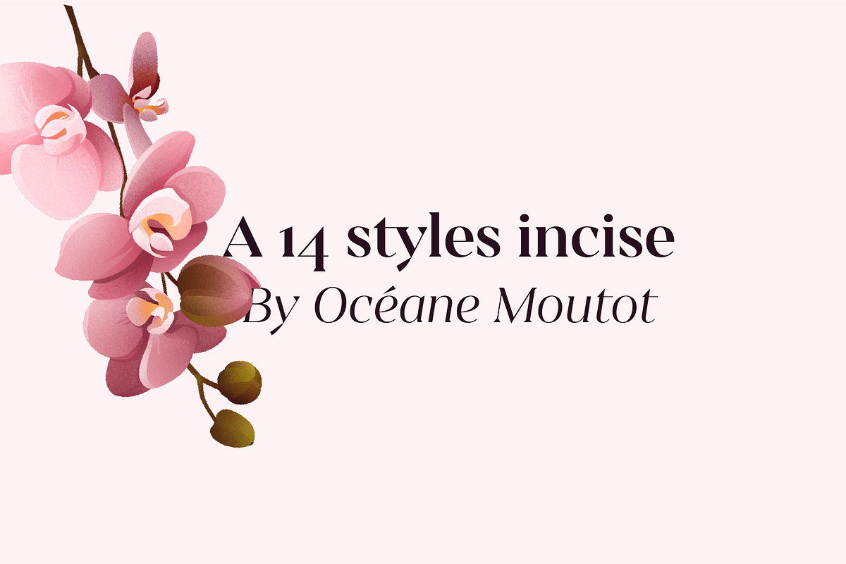 Sincerity, a Serif Font by OceaneM (Photo 2 of 8)