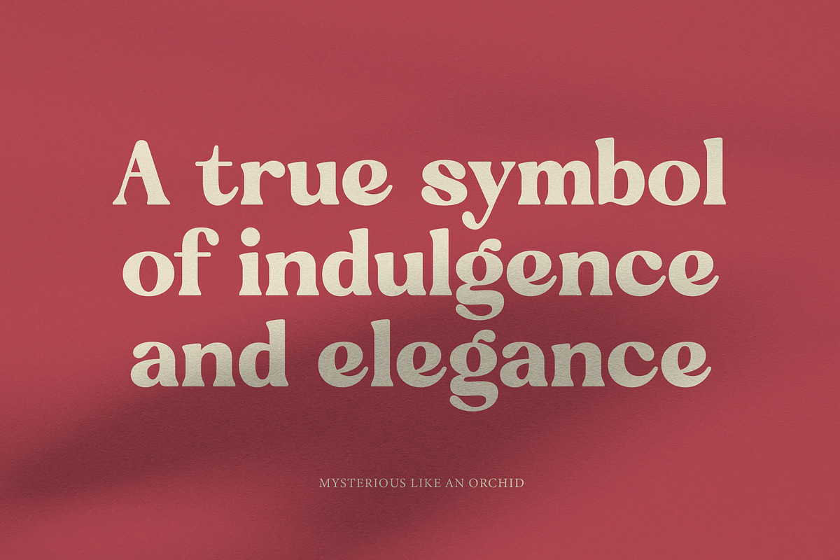 Regina Bonita Modern Retro Serif, a Serif Font by timelesstype.co (Photo 9 of 20)