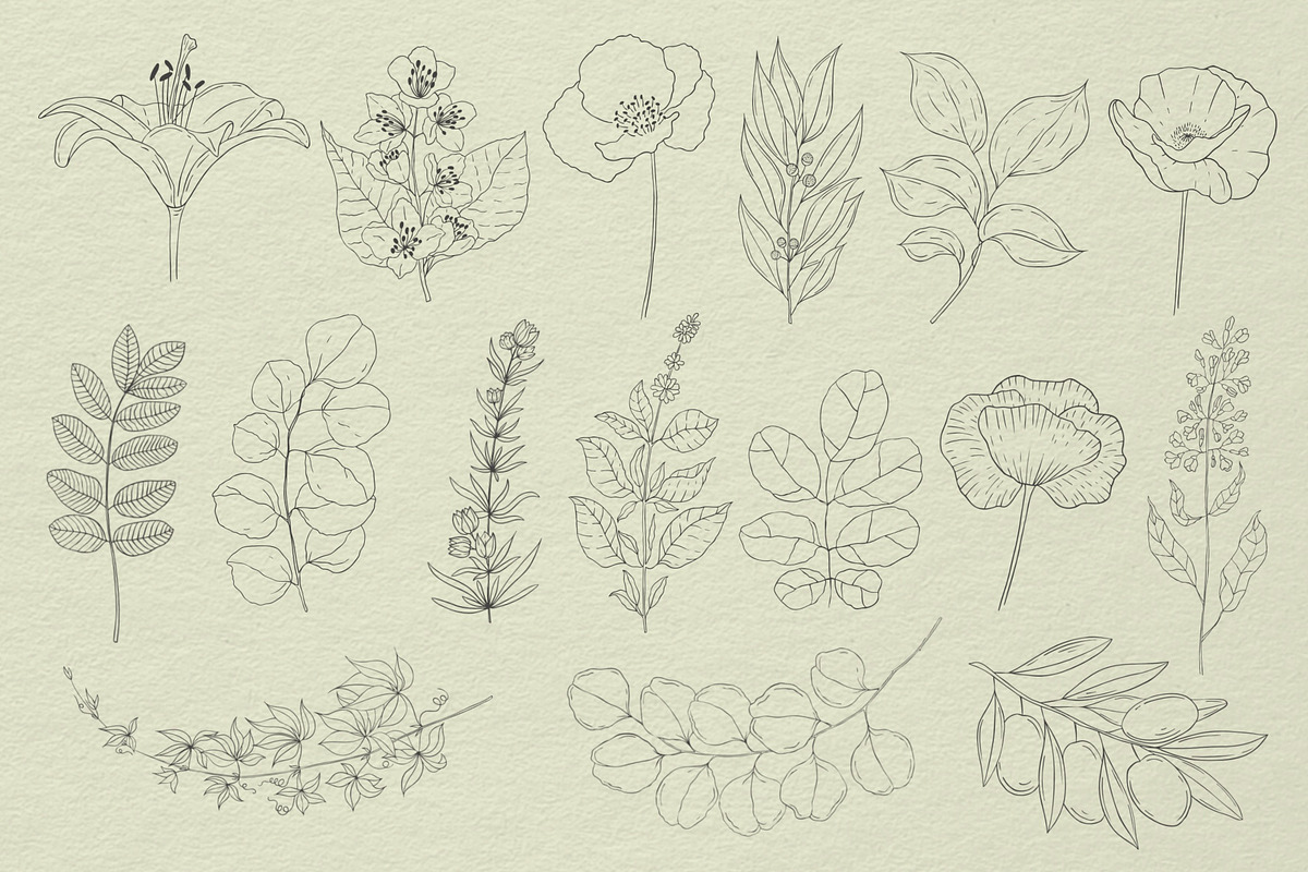 Botanical Procreate stamps, cliparts, a Brush Add-On by Veronika Gotovceva (Photo 4 of 6)